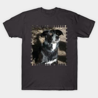 Walk in the Park T-Shirt